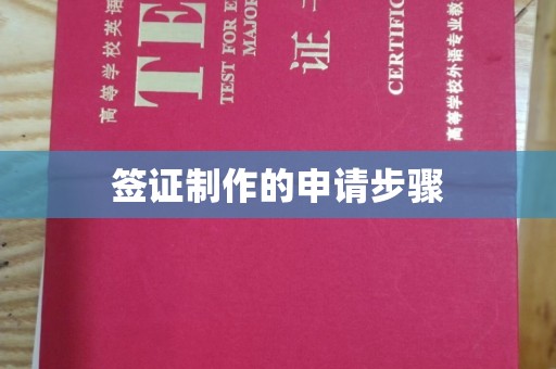 红星签证制作的申请步骤